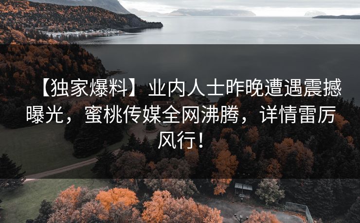 【独家爆料】业内人士昨晚遭遇震撼曝光，蜜桃传媒全网沸腾，详情雷厉风行！