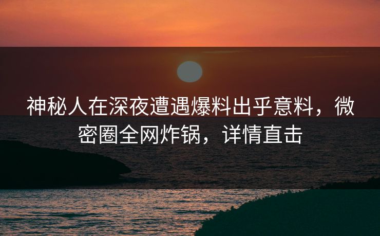 神秘人在深夜遭遇爆料出乎意料，微密圈全网炸锅，详情直击