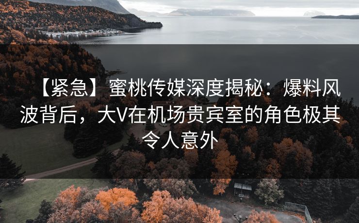 【紧急】蜜桃传媒深度揭秘：爆料风波背后，大V在机场贵宾室的角色极其令人意外
