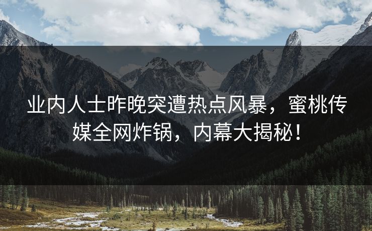 业内人士昨晚突遭热点风暴，蜜桃传媒全网炸锅，内幕大揭秘！