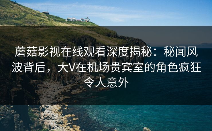蘑菇影视在线观看深度揭秘：秘闻风波背后，大V在机场贵宾室的角色疯狂令人意外