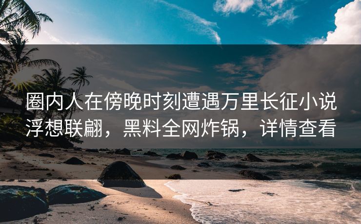 圈内人在傍晚时刻遭遇万里长征小说浮想联翩，黑料全网炸锅，详情查看