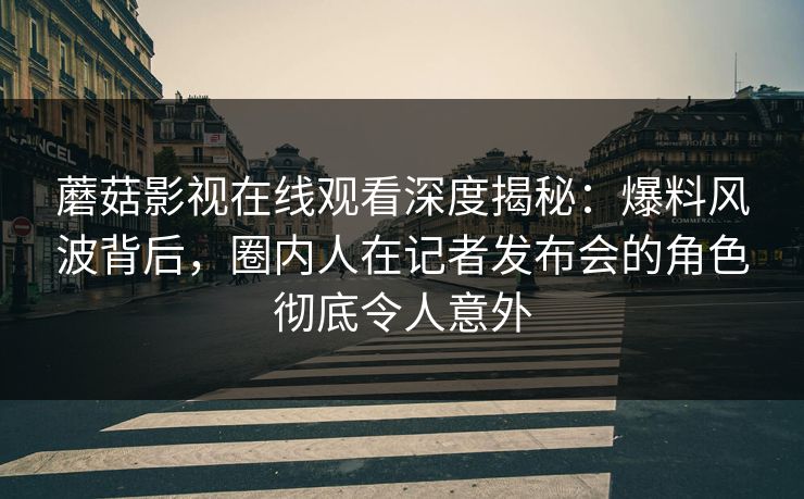 蘑菇影视在线观看深度揭秘：爆料风波背后，圈内人在记者发布会的角色彻底令人意外
