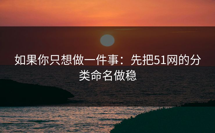 如果你只想做一件事：先把51网的分类命名做稳